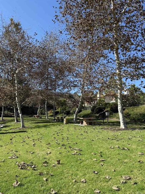 Detail Gallery Image 54 of 59 For 2070 Tiffany Dr, Oceanside,  CA 92056 - 4 Beds | 2/1 Baths