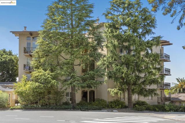 5405 Carlton St, Oakland CA: https://media.crmls.org/mediaz/0421d59a-9b75-44a0-97a6-f43f34cdac6f.jpg