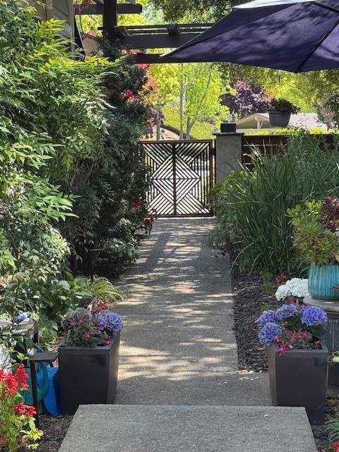 7133 Via Solana, San Jose CA: https://media.crmls.org/mediaz/04332b0f-6666-4d77-802e-00137979dff6.jpg