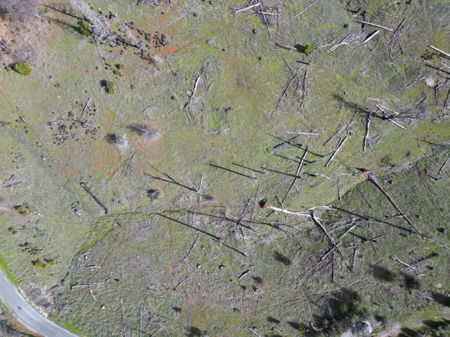 Image 6 of 24 For 5135 Old Emigrant Trail West