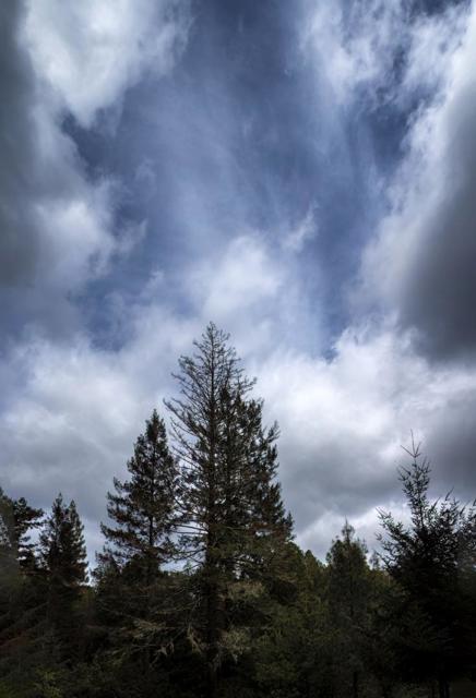 0 Eureka Canyon Road, Watsonville CA: https://media.crmls.org/mediaz/043ff4ee-7735-420c-a979-f55a5dd95cc1.jpg