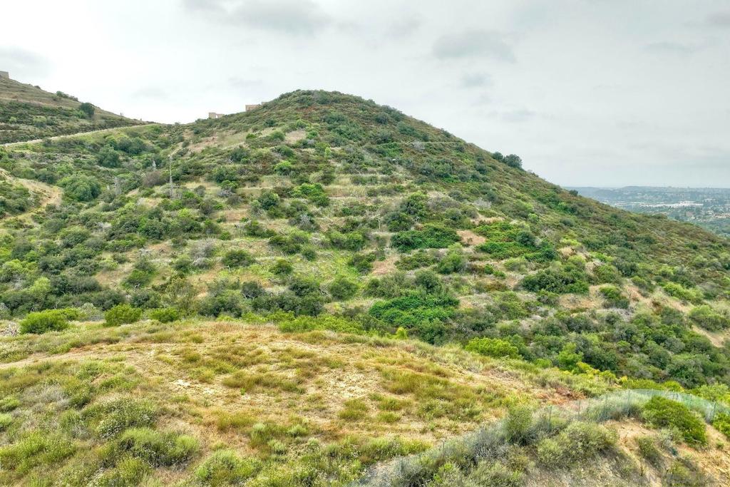 MLS #250029341SD image #27