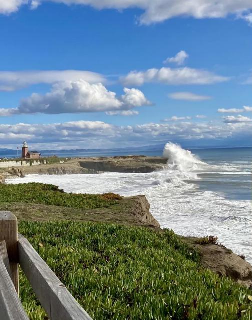 232 Union Street, Santa Cruz CA: https://media.crmls.org/mediaz/044d63d5-fd4f-4c36-bdf2-7fbca2f1e39c.jpg