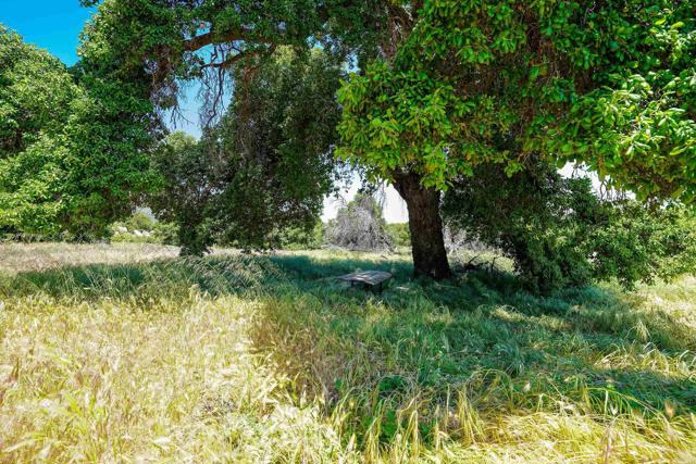 Detail Gallery Image 15 of 32 For 160 Acres Canebrake, Boulevard,  CA 91905 - – Beds | – Baths