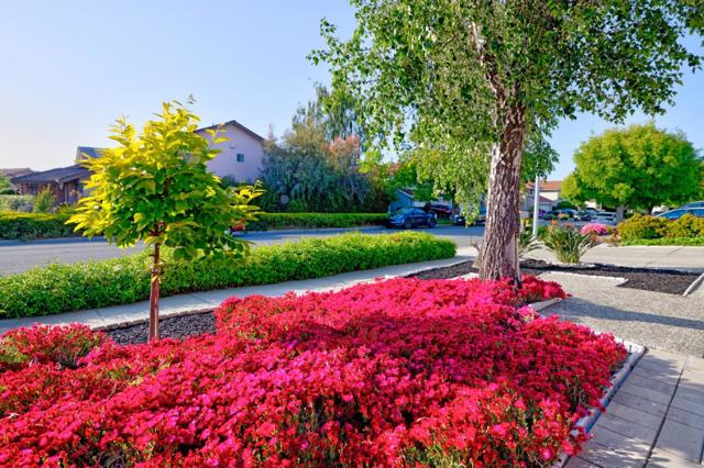 4330 Peregrine Way, Fremont CA: https://media.crmls.org/mediaz/04638807-16cf-461b-8d85-4b7df228ea95.jpg