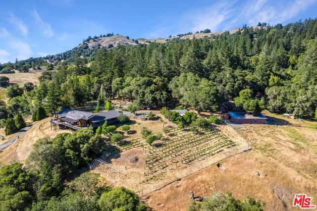 20799 Highway 128, Yorkville CA: https://media.crmls.org/mediaz/0467e9de-7380-4391-b236-b2469b8d9b42.jpg