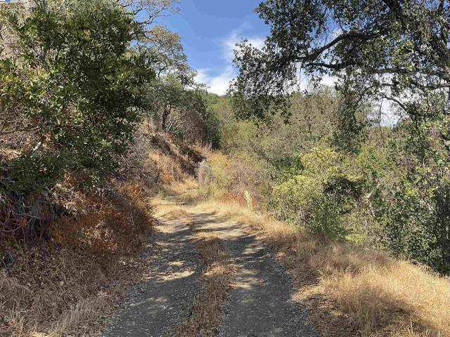 3984 Foothill Rd, Pleasanton CA: https://media.crmls.org/mediaz/0469b0a8-8a11-4bfe-bf42-92ca273eb383.jpg
