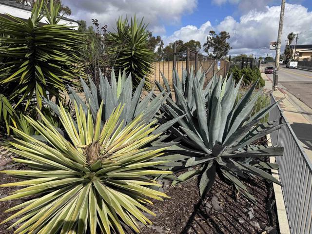 4606 Ocean View Boulevard, San Diego CA: https://media.crmls.org/mediaz/04787ddb-a603-48f6-b0aa-837a8580c07a.jpg