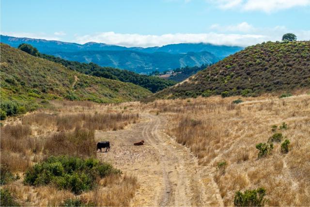 10265 Calle De Robles, Carmel Valley CA: https://media.crmls.org/mediaz/0481c009-c655-41b9-9716-e308e664a813.jpg
