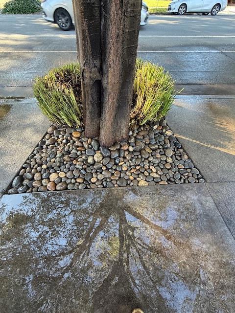 7610 Miller Avenue, Gilroy CA: https://media.crmls.org/mediaz/04867cb7-6c10-4766-9474-6f9aaef9677f.jpg