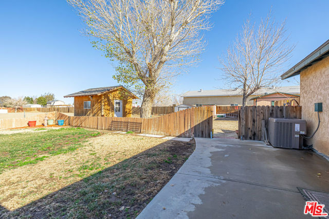 Rear Yard & Shed