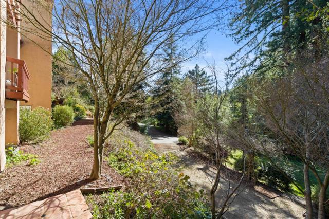 23185 Old Santa Cruz Highway, Los Gatos CA: https://media.crmls.org/mediaz/0490adc4-a1fa-429a-a51b-09ecbcba7d7c.jpg