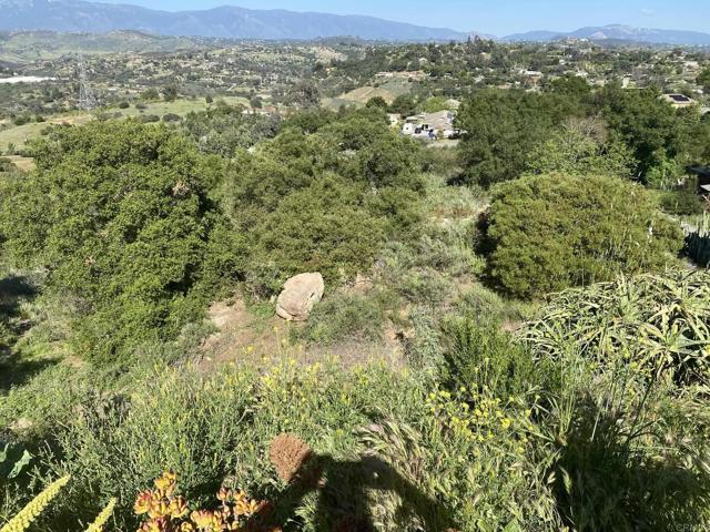 Detail Gallery Image 31 of 44 For 30603 Roadrunner Ridge, Valley Center,  CA 92082 - 3 Beds | 2/1 Baths