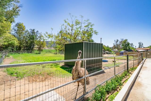 Detail Gallery Image 25 of 41 For 1023 Olive Ave, Ramona,  CA 92065 - 3 Beds | 3/1 Baths
