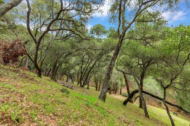 3005 Tohara Way, Morgan Hill CA: https://media.crmls.org/mediaz/04b24602-e6f5-4569-aaff-4cc4465760df.jpg