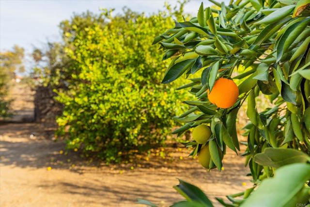 Detail Gallery Image 39 of 45 For 16350 Open View Rd, Ramona,  CA 92065 - 4 Beds | 2 Baths