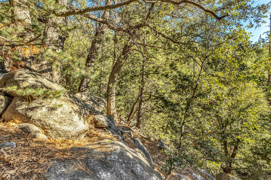 https://media.crmls.org/mediaz/04c2f386-49f0-48f4-9c28-debf0e74f2c8.jpg?preset=X-Large