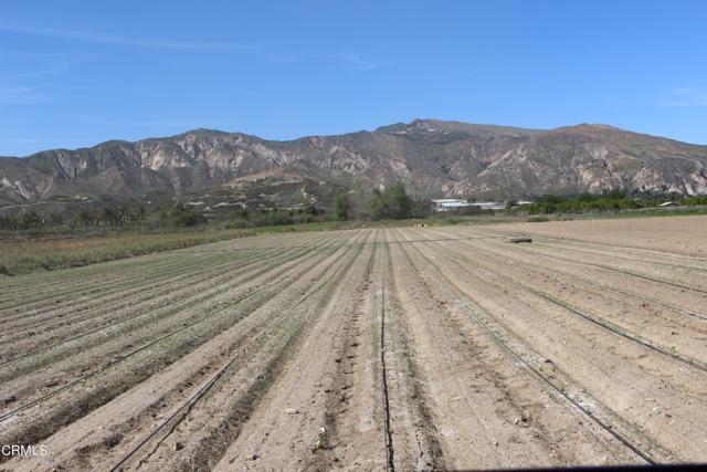 0 Torrey, Piru, CA, 93040 0 Torrey, Piru, CA, 93040