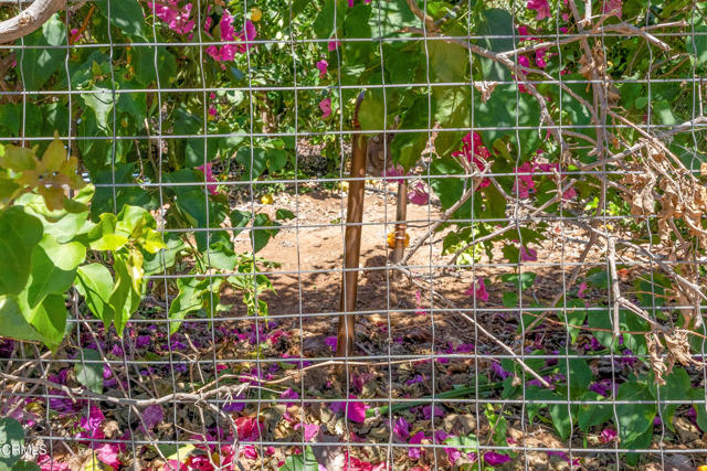 0 View Drive, Santa Paula CA: https://media.crmls.org/mediaz/04d5cf3e-08ef-4a73-b853-57f336f3c12e.jpg