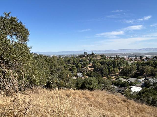 0 Winding Way, San Carlos CA: https://media.crmls.org/mediaz/04db7e33-9a18-446f-9954-994c9bf89f80.jpg