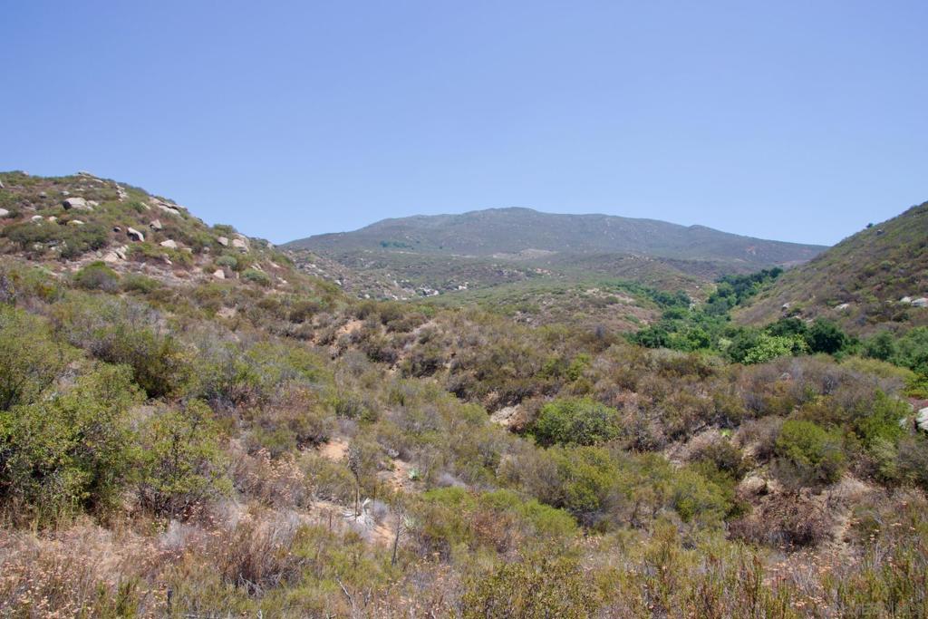 MLS #250035511SD image #54