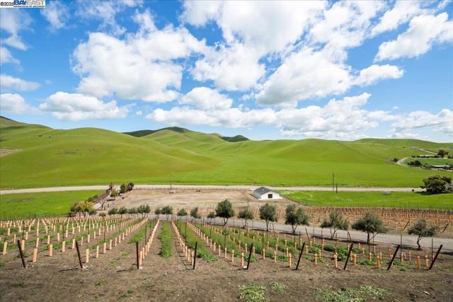 5388 Doolan Rd, Livermore CA: https://media.crmls.org/mediaz/04df2fcf-2c5a-4474-8660-aecc6ce4e558.jpg