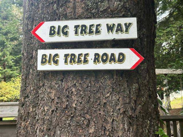 0 Big Tree Way, Woodside CA: https://media.crmls.org/mediaz/04ebf933-9998-4a5f-9581-d8f82ca5d0cd.jpg