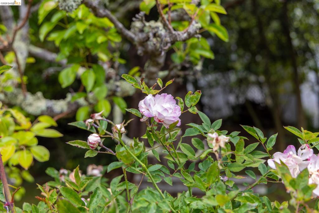 https://media.crmls.org/mediaz/04ec5849-0725-4e53-9846-2ebda39f78b5.jpg?preset=X-Large