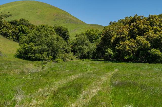 100 Old Stage Rd, San Juan Bautista CA: https://media.crmls.org/mediaz/04ecbe81-88d2-4bfa-aead-198568a7eac8.jpg