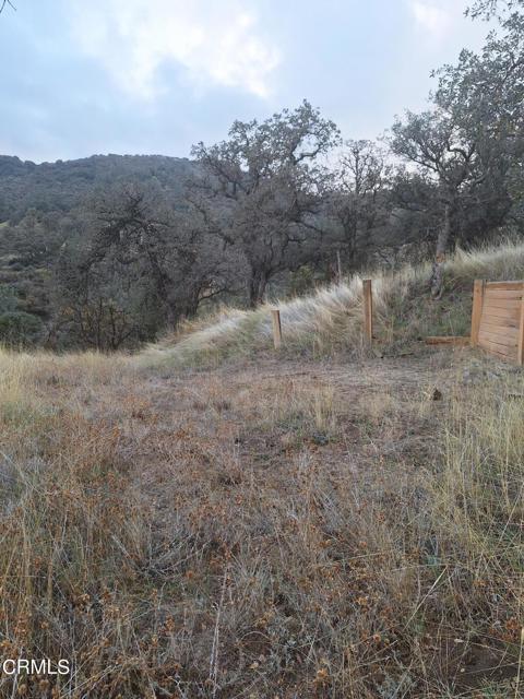 28600 Ridgeview Court, Tehachapi, California 93561, ,Land,For Sale,28600 Ridgeview Court,CRV1-20891