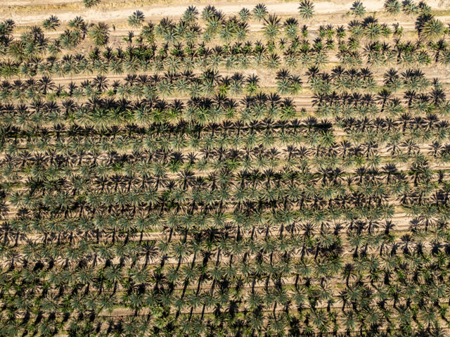 Image 16 of 17 For 5296 Buck Road