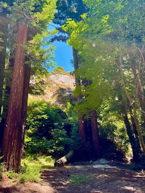 144 Monaco Lane, Boulder Creek CA: https://media.crmls.org/mediaz/050125a5-3c42-4606-95c8-5c7abcdb50e5.jpg