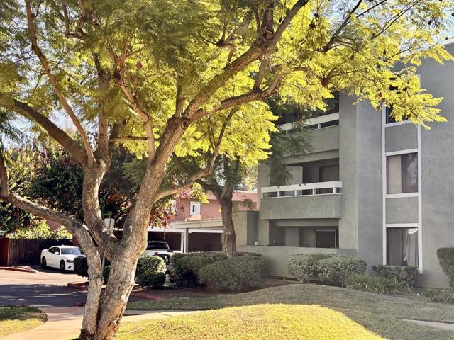 1040 E Washington Ave, Escondido CA: https://media.crmls.org/mediaz/0501a23e-6960-4755-9c2f-85fa30f62b61.jpg