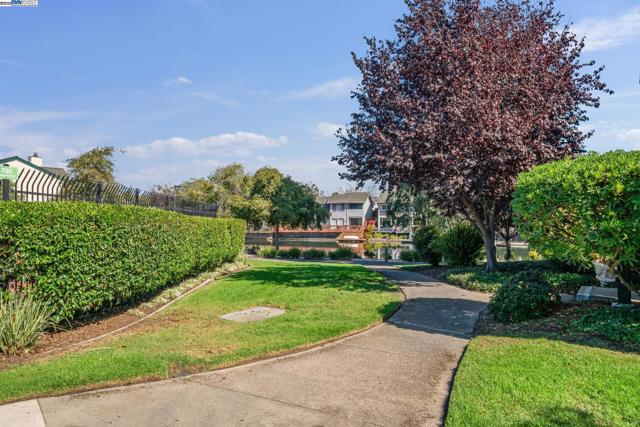 101 Carob Ln, Alameda CA: https://media.crmls.org/mediaz/0506bb59-b579-463f-ae5b-b0bc70c14836.jpg