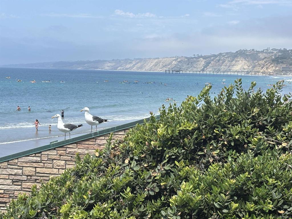 MLS #250036694SD image #43