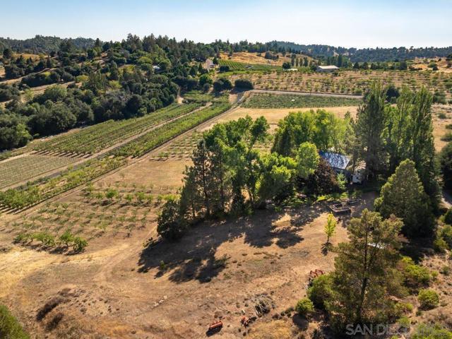 1209 Farmer Road, Julian CA: https://media.crmls.org/mediaz/0534e865-dc4b-450d-adaf-675b3fff4761.jpg
