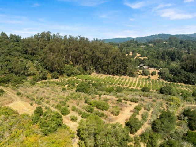 0 Sans Road, Corralitos CA: https://media.crmls.org/mediaz/05378652-e2d9-4708-9b01-a14daaee955b.jpg