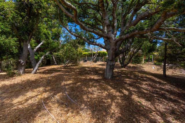 388 Aptos Ridge Circle, Watsonville CA: https://media.crmls.org/mediaz/0538d6ea-2907-47d1-b53d-d12ea932384f.jpg