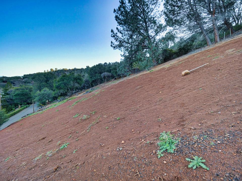 MLS #ML81988008 image #15