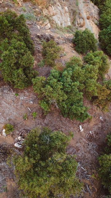 Detail Gallery Image 17 of 18 For 1411 Wild Acres Rd., Vista,  CA 92084 - – Beds | – Baths