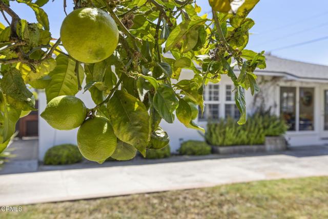 Detail Gallery Image 26 of 42 For 2667 Preble Ave, Ventura,  CA 93003 - 2 Beds | 1 Baths