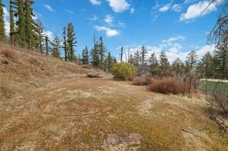 1005 Pinecrest Drive, Boulder Creek CA: https://media.crmls.org/mediaz/05529644-b681-46f2-8806-1705499a67e2.jpg