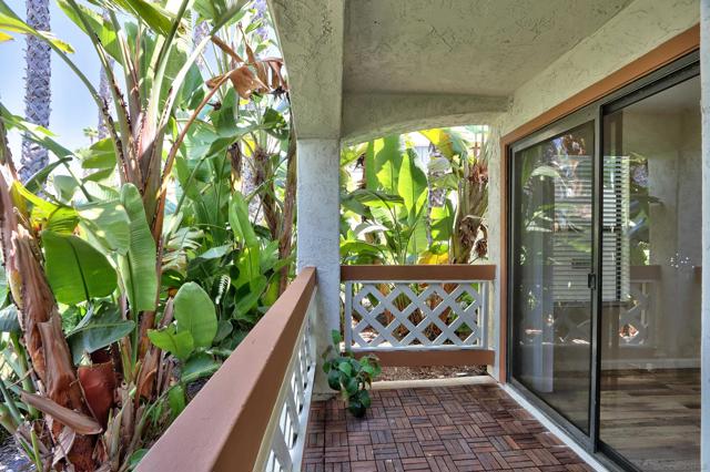 13202 Salmon River Rd, San Diego CA: https://media.crmls.org/mediaz/0557b9f8-337f-49ae-bd9d-62587aafe647.jpg