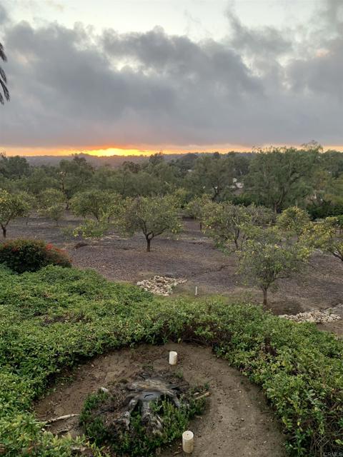 Image 24 of 26 For 6858 Las Colinas