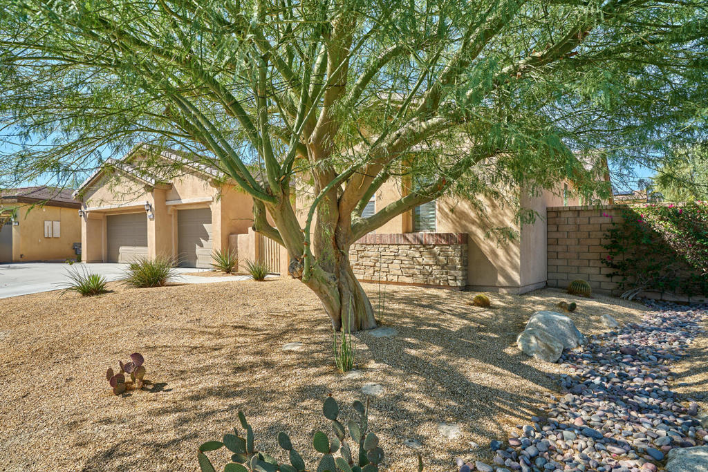 MLS #219136689DA image #5