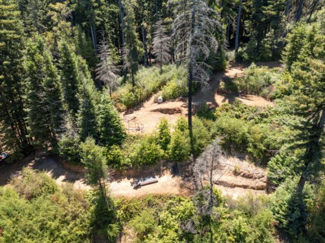 2472 Fanning Grade, Ben Lomond CA: https://media.crmls.org/mediaz/05659767-ac97-4f54-9a7b-ad6f4ad1f639.jpg