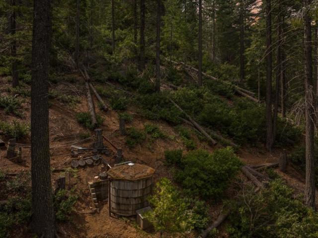 2120 Pack Trail, Mount Shasta CA: https://media.crmls.org/mediaz/056911ec-cbbf-45af-acc4-6f9ba74a9331.jpg