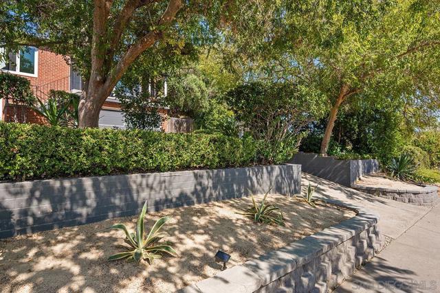 curbside view of front of yard