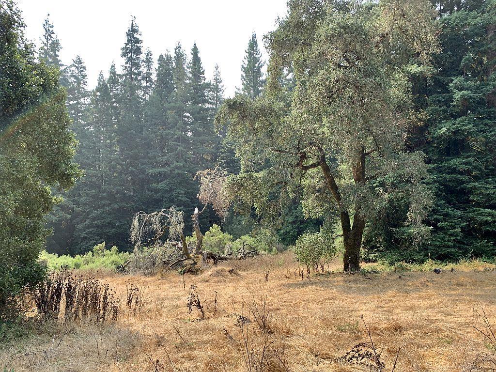 MLS #ML81810757 image #34