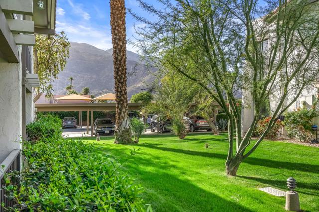 1050 E Ramon Road, Palm Springs CA: https://media.crmls.org/mediaz/056ff3fa-2176-4e5d-bed1-6baa43369c04.jpg